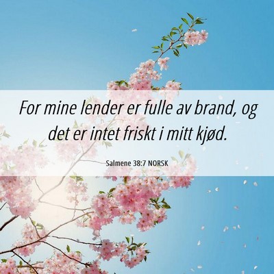 Picture 06 - Salmene 38:7 NORSK - For mine lender er fulle av brand, og det er - Bible Verse Picture