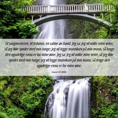 Picture 06 - Salmene 39:1 NORSK - Til sangmesteren, til Jedutun; en salme av David. - Bible Verse Picture