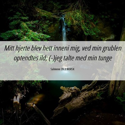 Picture 06 - Salmene 39:3 NORSK - Mitt hjerte blev hett inneni mig, ved min grublen - Bible Verse Picture