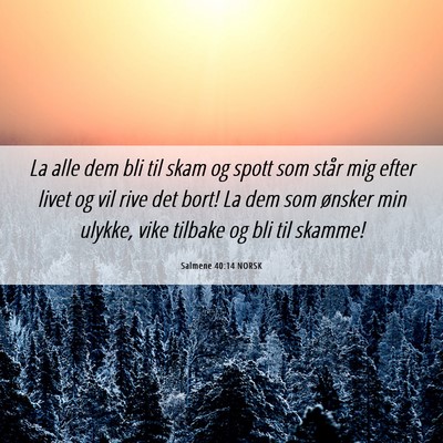 Picture 06 - Salmene 40:14 NORSK - La alle dem bli til skam og spott som står mig - Bible Verse Picture