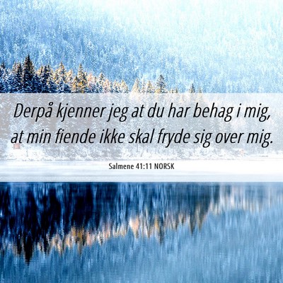 Picture 06 - Salmene 41:11 NORSK - Derpå kjenner jeg at du har behag i mig, at min - Bible Verse Picture