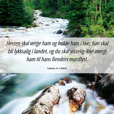 Picture 06 - Salmene 41:2 NORSK - Herren skal verge ham og holde ham i live; han - Bible Verse Picture