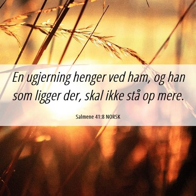 Picture 06 - Salmene 41:8 NORSK - En ugjerning henger ved ham, og han som ligger - Bible Verse Picture