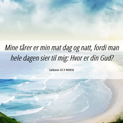 Picture 06 - Salmene 42:3 NORSK - Mine tårer er min mat dag og natt, fordi man - Bible Verse Picture
