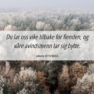 Picture 06 - Salmene 44:10 NORSK - Du lar oss vike tilbake for fienden, og våre - Bible Verse Picture