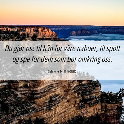 Picture 06 - Salmene 44:13 NORSK - Du gjør oss til hån for våre naboer, til spott - Bible Verse Picture