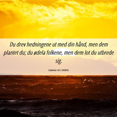Picture 06 - Salmene 44:2 NORSK - Du drev hedningene ut med din hånd, men dem - Bible Verse Picture