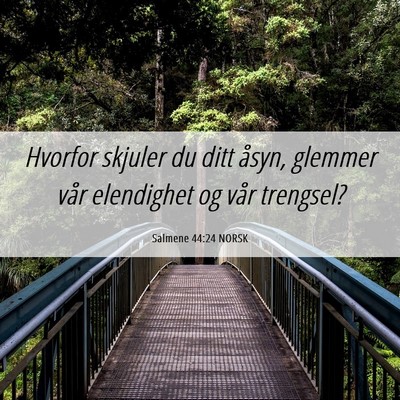 Picture 06 - Salmene 44:24 NORSK - Hvorfor skjuler du ditt åsyn, glemmer vår - Bible Verse Picture
