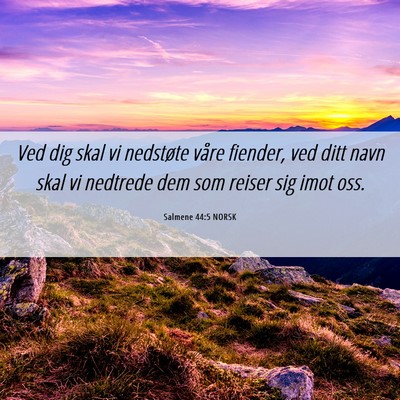 Picture 06 - Salmene 44:5 NORSK - Ved dig skal vi nedstøte våre fiender, ved ditt - Bible Verse Picture