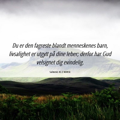Picture 06 - Salmene 45:2 NORSK - Du er den fagreste blandt menneskenes barn, - Bible Verse Picture