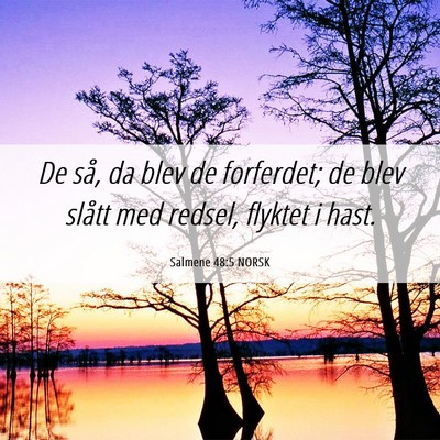 Picture 06 - Salmene 48:5 NORSK - De så, da blev de forferdet; de blev slått med - Bible Verse Picture