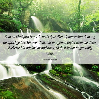 Picture 06 - Salmene 49:14 NORSK - Som en fårehjord føres de ned i dødsriket, - Bible Verse Picture