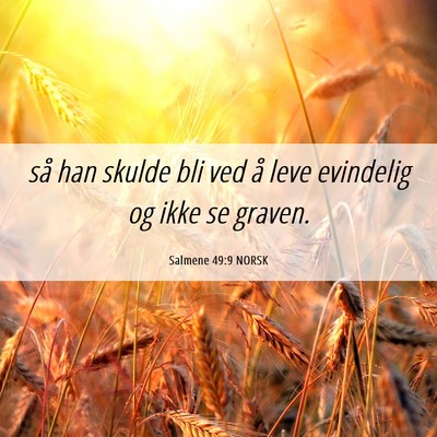 Picture 06 - Salmene 49:9 NORSK - så han skulde bli ved å leve evindelig og ikke - Bible Verse Picture