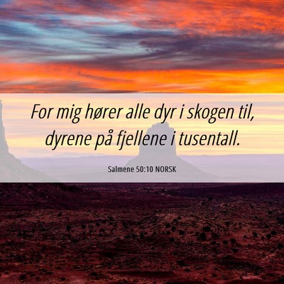 Picture 06 - Salmene 50:10 NORSK - For mig hører alle dyr i skogen til, dyrene på - Bible Verse Picture