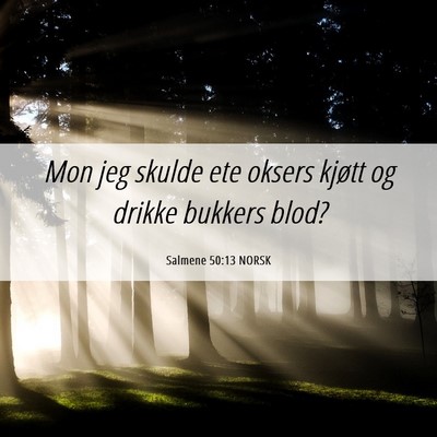 Picture 06 - Salmene 50:13 NORSK - Mon jeg skulde ete oksers kjøtt og drikke - Bible Verse Picture
