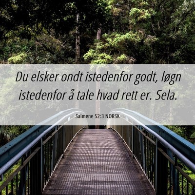 Picture 06 - Salmene 52:3 NORSK - Du elsker ondt istedenfor godt, løgn istedenfor - Bible Verse Picture