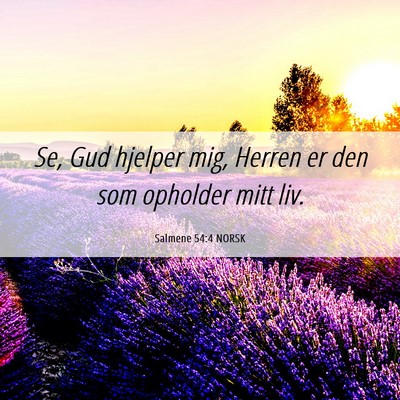 Picture 06 - Salmene 54:4 NORSK - Se, Gud hjelper mig, Herren er den som opholder - Bible Verse Picture