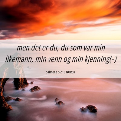 Picture 06 - Salmene 55:13 NORSK - men det er du, du som var min likemann, min venn - Bible Verse Picture