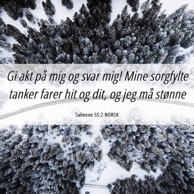 Picture 06 - Salmene 55:2 NORSK - Gi akt på mig og svar mig! Mine sorgfylte tanker - Bible Verse Picture