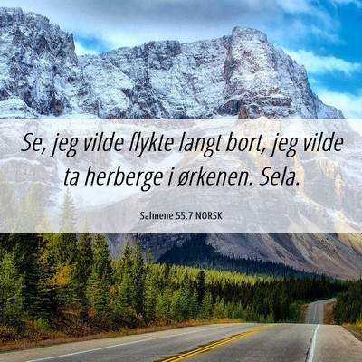 Picture 06 - Salmene 55:7 NORSK - Se, jeg vilde flykte langt bort, jeg vilde ta - Bible Verse Picture