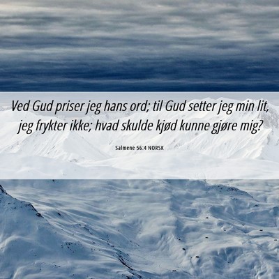 Picture 06 - Salmene 56:4 NORSK - Ved Gud priser jeg hans ord; til Gud setter jeg - Bible Verse Picture