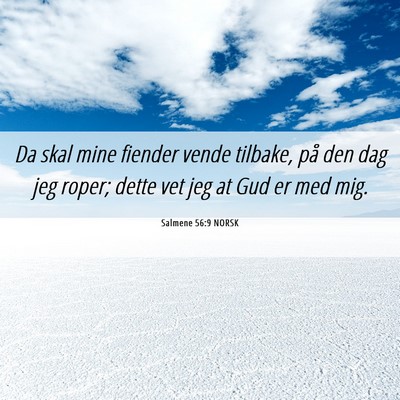 Picture 06 - Salmene 56:9 NORSK - Da skal mine fiender vende tilbake, på den dag - Bible Verse Picture