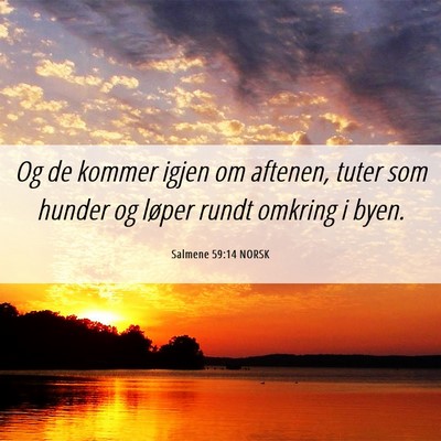 Picture 06 - Salmene 59:14 NORSK - Og de kommer igjen om aftenen, tuter som hunder - Bible Verse Picture
