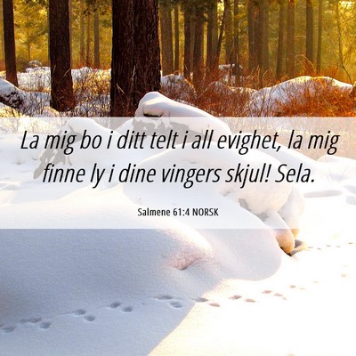 Picture 06 - Salmene 61:4 NORSK - La mig bo i ditt telt i all evighet, la mig finne - Bible Verse Picture