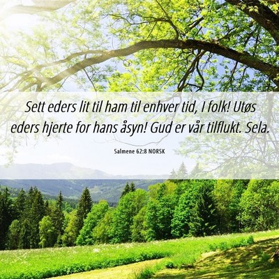 Picture 06 - Salmene 62:8 NORSK - Sett eders lit til ham til enhver tid, I folk! - Bible Verse Picture