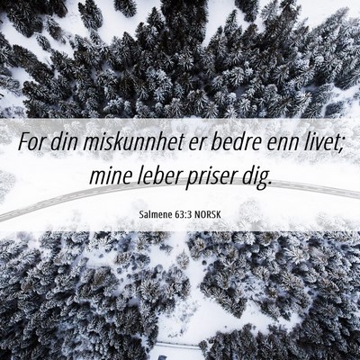 Picture 06 - Salmene 63:3 NORSK - For din miskunnhet er bedre enn livet; mine leber - Bible Verse Picture