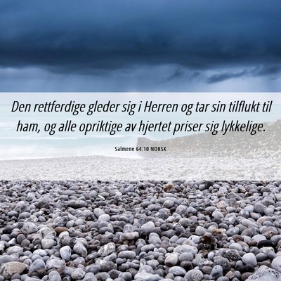 Picture 06 - Salmene 64:10 NORSK - Den rettferdige gleder sig i Herren og tar sin - Bible Verse Picture