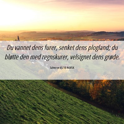 Picture 06 - Salmene 65:10 NORSK - Du vannet dens furer, senket dens plogland; du - Bible Verse Picture