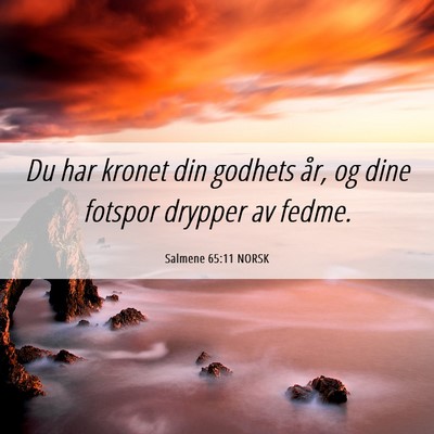 Picture 06 - Salmene 65:11 NORSK - Du har kronet din godhets år, og dine fotspor - Bible Verse Picture