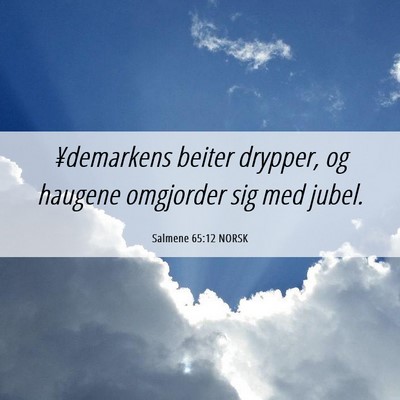 Picture 06 - Salmene 65:12 NORSK - ¥demarkens beiter drypper, og haugene omgjorder - Bible Verse Picture