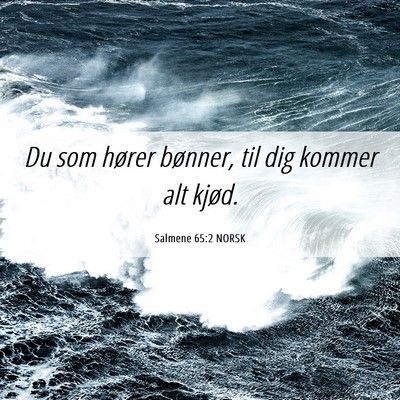 Picture 06 - Salmene 65:2 NORSK - Du som hører bønner, til dig kommer alt - Bible Verse Picture