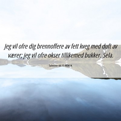 Picture 06 - Salmene 66:15 NORSK - Jeg vil ofre dig brennoffere av fett kveg med - Bible Verse Picture