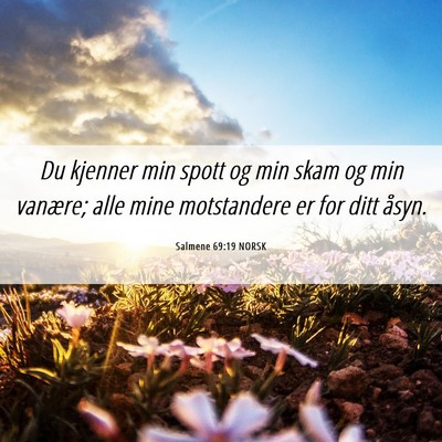 Picture 06 - Salmene 69:19 NORSK - Du kjenner min spott og min skam og min vanære; - Bible Verse Picture