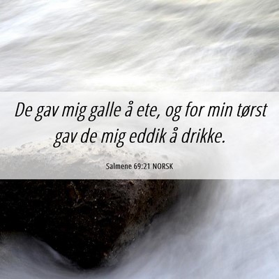 Picture 06 - Salmene 69:21 NORSK - De gav mig galle å ete, og for min tørst gav de - Bible Verse Picture