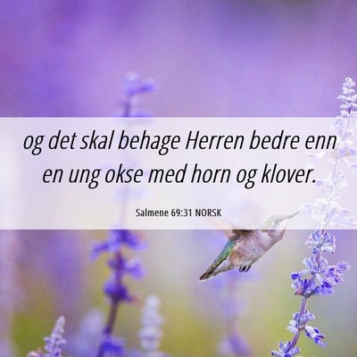 Picture 06 - Salmene 69:31 NORSK - og det skal behage Herren bedre enn en ung okse - Bible Verse Picture