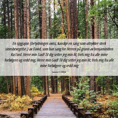 Picture 06 - Salmene 7:1 NORSK - En sjiggajon {betydningen uviss, kanskje en sang - Bible Verse Picture