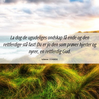 Picture 06 - Salmene 7:9 NORSK - La dog de ugudeliges ondskap få ende og den - Bible Verse Picture