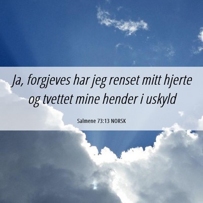 Picture 06 - Salmene 73:13 NORSK - Ja, forgjeves har jeg renset mitt hjerte og - Bible Verse Picture