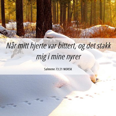 Picture 06 - Salmene 73:21 NORSK - Når mitt hjerte var bittert, og det stakk mig i - Bible Verse Picture