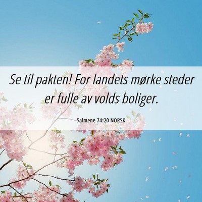 Picture 06 - Salmene 74:20 NORSK - Se til pakten! For landets mørke steder er fulle - Bible Verse Picture