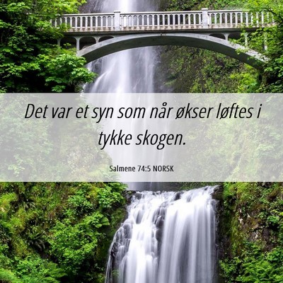 Picture 06 - Salmene 74:5 NORSK - Det var et syn som når økser løftes i tykke - Bible Verse Picture
