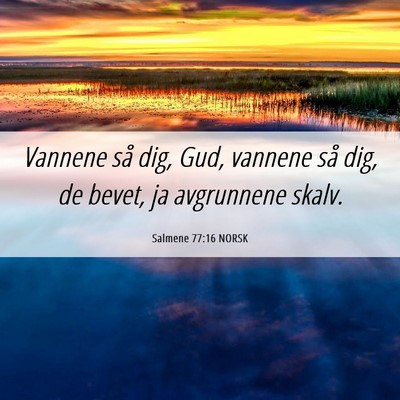 Picture 06 - Salmene 77:16 NORSK - Vannene så dig, Gud, vannene så dig, de bevet, - Bible Verse Picture