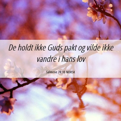 Picture 06 - Salmene 78:10 NORSK - De holdt ikke Guds pakt og vilde ikke vandre i - Bible Verse Picture