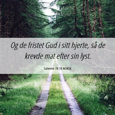 Picture 06 - Salmene 78:18 NORSK - Og de fristet Gud i sitt hjerte, så de krevde - Bible Verse Picture