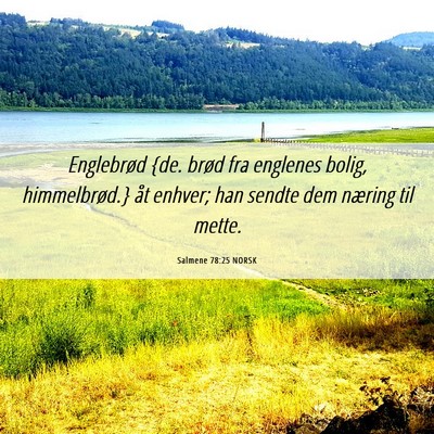 Picture 06 - Salmene 78:25 NORSK - Englebrød {de. brød fra englenes bolig, - Bible Verse Picture
