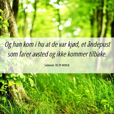 Picture 06 - Salmene 78:39 NORSK - Og han kom i hu at de var kjød, et åndepust som - Bible Verse Picture